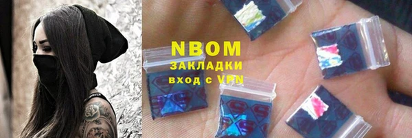 прущие грибы Абаза