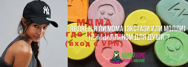 прущие грибы Абаза