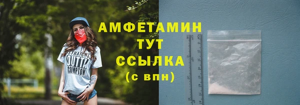 прущие грибы Абаза