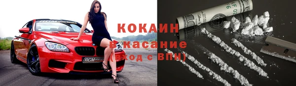 прущие грибы Абаза