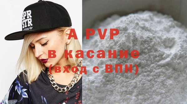 прущие грибы Абаза