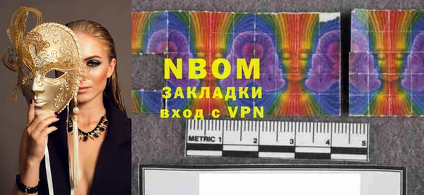 прущие грибы Абаза