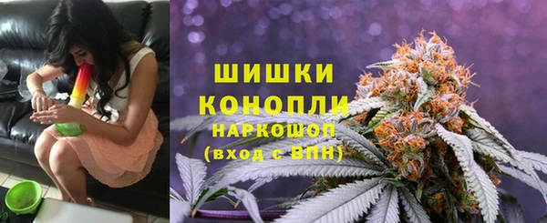 прущие грибы Абаза
