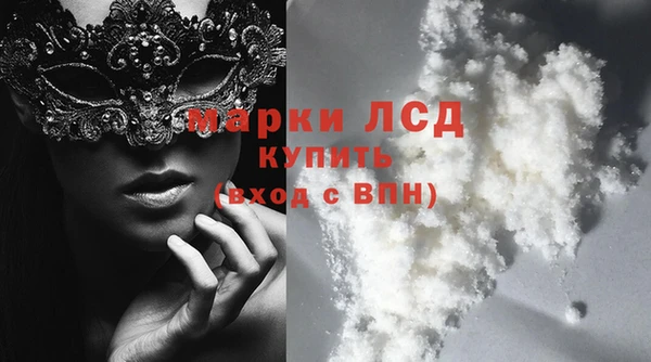 прущие грибы Абаза