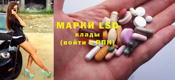 прущие грибы Абаза