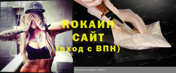 прущие грибы Абаза
