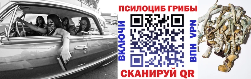 Галлюциногенные грибы GOLDEN TEACHER  Галич 