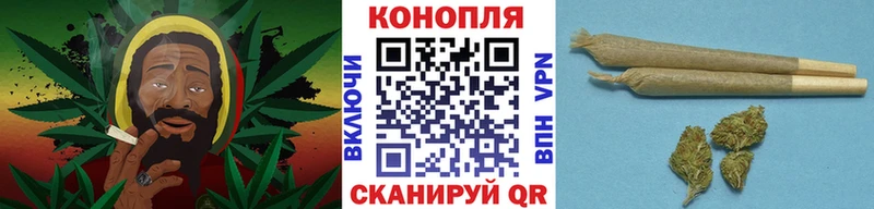 Бошки Шишки конопля  где купить наркоту  Галич 